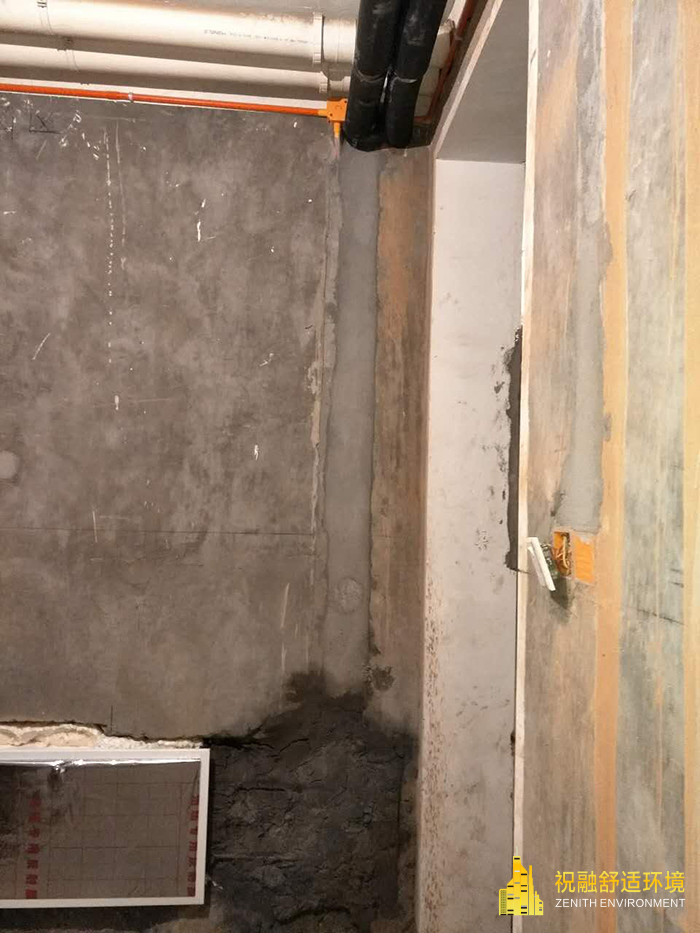 蘇州海珀宮爵10-491视频污版免费下载案例